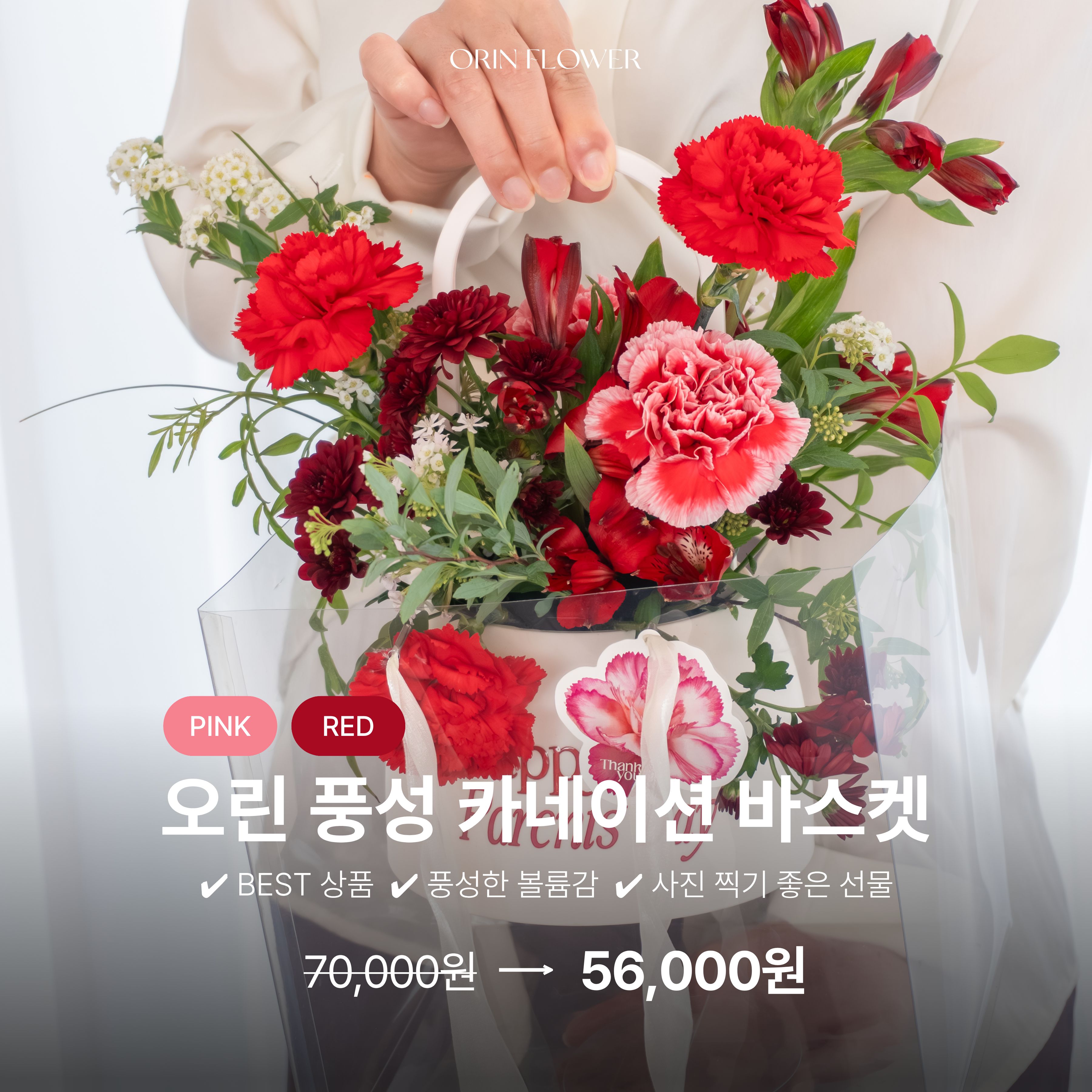 (부산 전지역 퀵배송) 오린 풍성 카네이션 바스켓